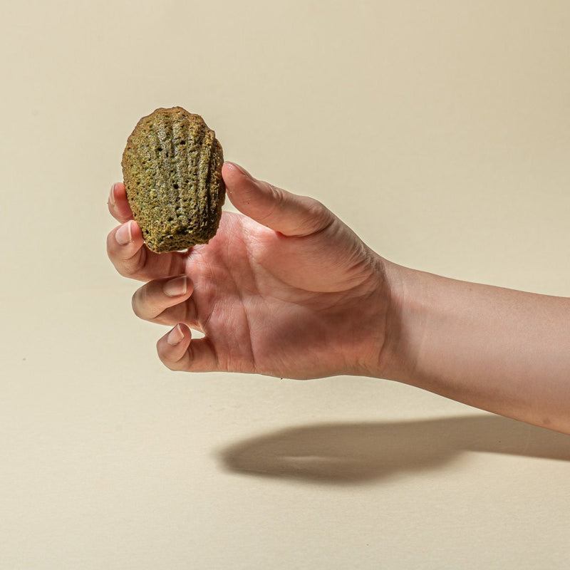 Load image into Gallery viewer, Matcha Madeleines 30 Pieces
